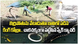 A King Cobra Snake Rescued From an Agriculture Well  Anakapalle  Samayam Telugu [upl. by Une868]