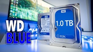 Why are WD Blue HDDs so popular Western Digital Blue 1TB Review [upl. by Sakul]