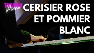 CERISIER ROSE ET POMMIER BLANC  pianobytravis [upl. by Ysabel]