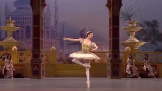 LE CORSAIRE  Odalisque Variation 1 Ana Turazashvili  Bolshoi Ballet [upl. by Corrine]