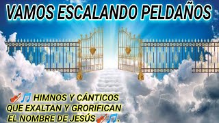 Escalando peldaños  Vida Real Worship Video Oficial [upl. by Occor]