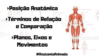 01 Posição Anatômica Planos Eixos Movimentos e Términos Anatômicos  Anatomia Animada [upl. by Labana]