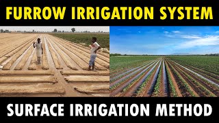 Furrow Irrigation System  Surface Irrigation System  Agriculture Irrigation Method [upl. by Weasner]