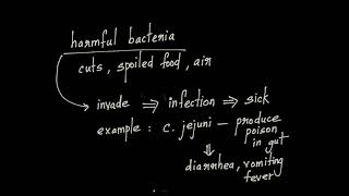 ScienceMicrobiome Human Gut microbiome [upl. by Jessy]