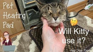 Review Pet Heating Pad  Will My Cat Use It [upl. by Myca]