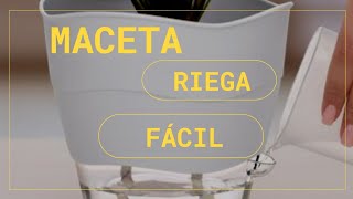 🍀MACETA RIEGA FÁCIL BETTERWARE  Sistema de Autorriego  Better Fans 💙 [upl. by Laine]