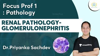 Renal PathologyGlomerulonephritis  Focus Prof 1 Unacademy Future Doctors  DrPriyanka [upl. by Tate]