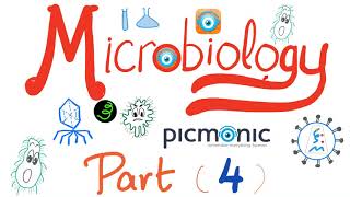 Microbiology  Viridans Streptococcus pyogenes agalactiae bovis Enterococci  Picmonic Part 4 [upl. by Marnia805]