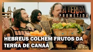 Hebreus colhem os frutos da terra de Canaã  A TERRA PROMETIDA [upl. by Clovah]