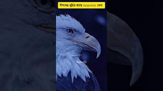 🦅 Eagle intelligence will surprise you 😱 wise eagle shorts intelligent eagles [upl. by Aimar]