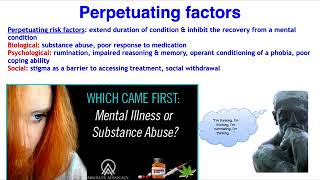 Predisposing precipitating perpetuating and protective factors 4ps  Psychology  Iqra Sageer [upl. by Ettenom]