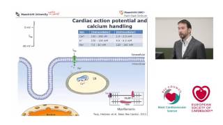 Demonstration on the use of Computational Modelling [upl. by Eelsel]