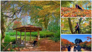 Dandenong Ranges Botanic GardenBest place to go for picnicrelaxing amp unwinding [upl. by Einwahr]