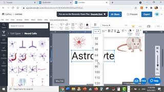 How to use Biorender to create Figure or graphic abstract Dr Esraa Elnahas [upl. by Eeruhs]