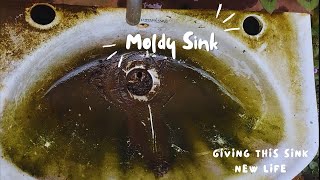 Transform This Sink With Me Moldy Sink🤢 Floor Cleaning [upl. by Nauqram]