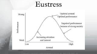 Eustress [upl. by Eita]