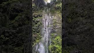 Newton’s Waterfall Akaroa NZ [upl. by Aralk10]