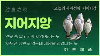 池魚之殃지어지앙 연못 속 물고기의 재앙이라는 뜻 아무런 상관도 없는데 재앙을 입었다는 뜻고사성어 사자성어 삶의지혜 촌철살인 채근담 인생명언 탈무드 [upl. by Box]