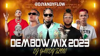 Dembow Mix 2023 Vol9 DJYANDY flow [upl. by Soule]