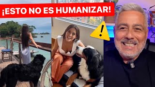 Conocida VETERINARIAETÓLOGA nos ENSEÑA qué es HUMANIZAR a un PERRO y qué NO 🙌 [upl. by Sihon]