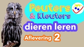 Dierennamen  Eerste Woordjes  Dieren Leren Aflevering 2 Peuters en Kleuters [upl. by Yssirc]