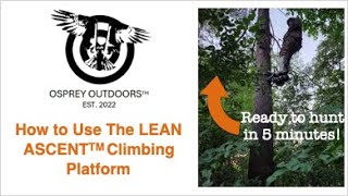 How to Use The Lean Ascent Alpha Climbing Platform [upl. by Mroz]