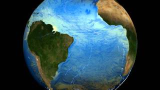 The Thermohaline Circulation  The Great Ocean Conveyor Belt [upl. by Ornstead]