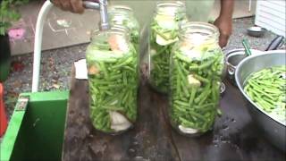 How To Pressure Can Green Beans With Potatoes [upl. by Ennaehr]