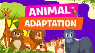 Animal Adaptations  Physical Life Cycle and Behavioral Adaptations of Animals  Science Video [upl. by Naro]