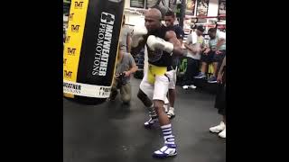 Floyd Mayweathers Lethal Jabs on Heavy Bags While Training🥊 [upl. by Meill81]