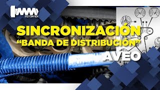 MARCAS DE SINCRONIZACIÓN DE AVEO [upl. by Assilem]