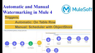 Automatic and Manual Watermarking in Mule 4 [upl. by Holt]