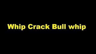 Whip Crack Bull whip  sound effect with drawing [upl. by Jola]