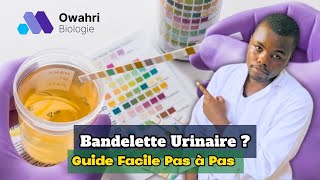 Comment réaliser la bandelette urinaire  Tutorielanalyse [upl. by Oilcareh]