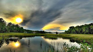 LOONS And Thunderstorm  Haunting Loon Calls With Thunderstorm Sounds [upl. by Koosis738]