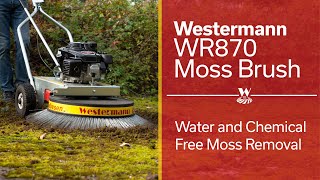 Westermann WR870 Moss Brush  Chemical and Water Free Moss Removal [upl. by Gabbi638]