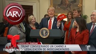 La Casa Blanca consideraría legalizar inmigrantes sin delitos  Al Rojo Vivo  Telemundo [upl. by Melas]