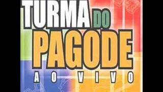 Turma do Pagode  Pingos de Amor [upl. by Karim]