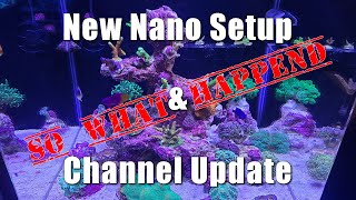 New Nano Reef Setup and Channel Update [upl. by Marozik719]