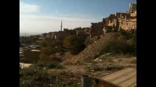 MARDİN REYHANİSİ [upl. by Maharva]