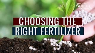 Choosing the right fertilizer for vegetable gardens [upl. by Gayla]