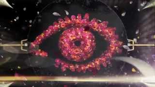 Big Brother UK  Series 11 2010  Opening Titles [upl. by Harad]