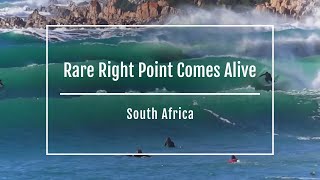 South Africans rare Right Point comes alive [upl. by Aleacem]