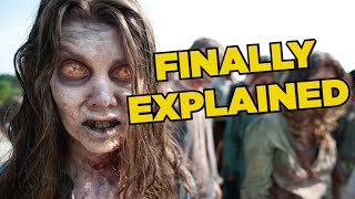 How The Walking Deads Zombie Outbreak Started [upl. by Eittam604]