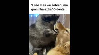 Quando o dentista cobra uma fortuna memes animaisengracados humor animaisdublados [upl. by How]