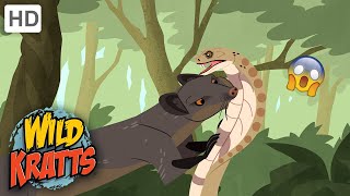 Wild Kratts  Cobra VENOMWildlife [upl. by Angeli900]