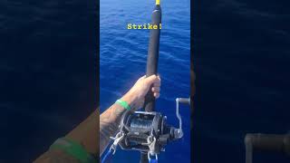 TONNO ROSSO a Drifting 👉 Zaratan Acid Plus 60lb 🐟🐳🎣 Tuna TunaFishing fishingItaly [upl. by Hakym]