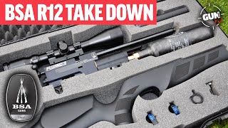 NEW AIRGUN REVIEW THE BSA R12 TAKE DOWN [upl. by Anetsirk]