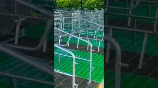 Modern Design Pigs Farrowing Pen for Sale  shorts pig piglets animals pets pet usa fyp [upl. by Duaner819]