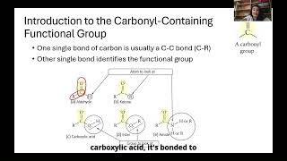 Introduction to Carbonyl Containing Functional Groups [upl. by Ardried329]